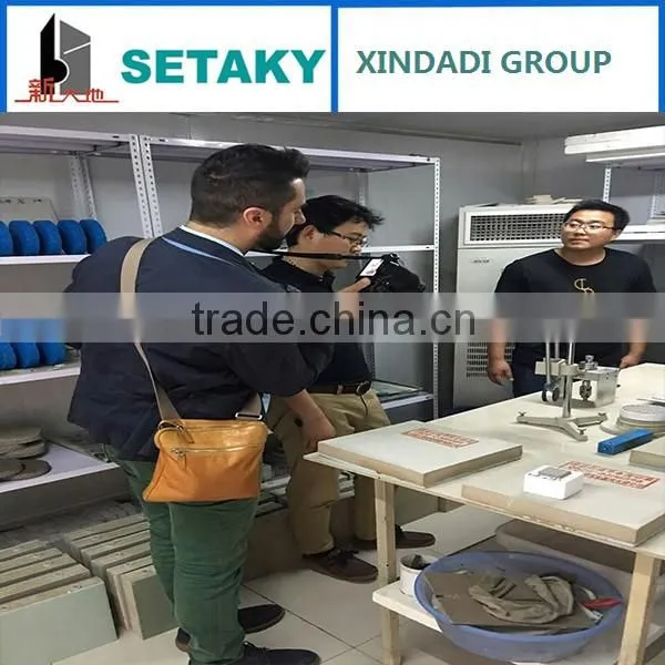 construction chemical mortar early strength agent/accelerator