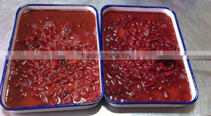 300g,400g,800g,3000g 2016 new crop Chinese canned british red kidney beans