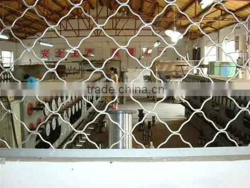 Safety Fence