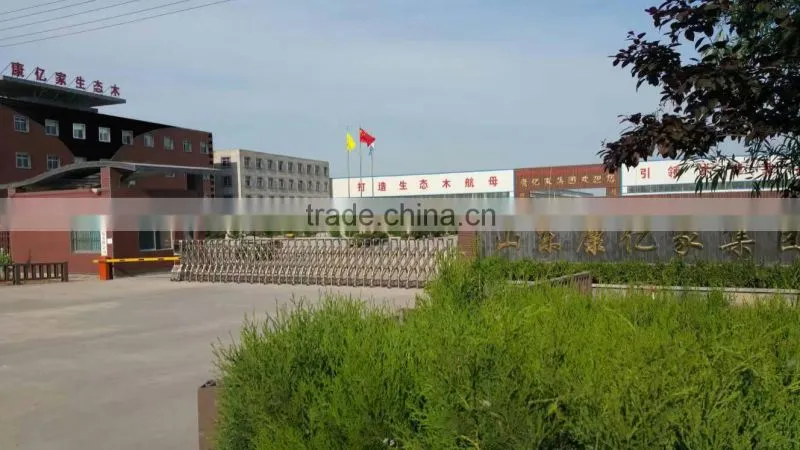 Shandong Kangyijia Ecological WPC Group Co., Ltd. company overview - view 1