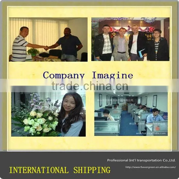 Sea Freight For Foshan Ceramic Tiles Container Sea Transportation