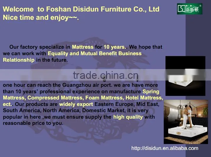 China mattress manufacturer supply thin foam hotel mattress DS-LPZ09