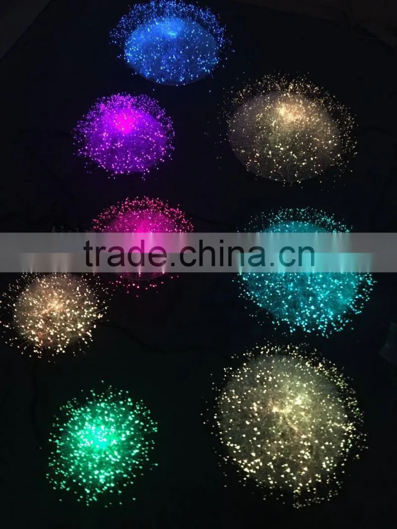 Fiber optic holiday / garden decoration light, fiber optic flower lighting in garden, park