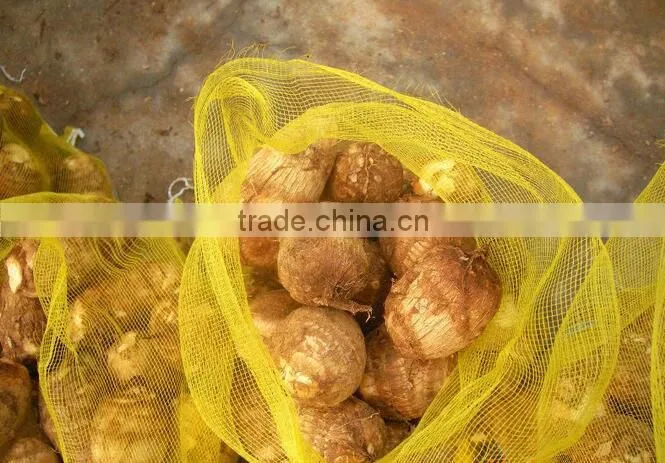 supply fresh taro for dubai