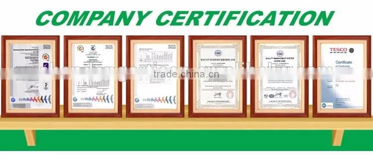Best price of single clove garlic for wholesale