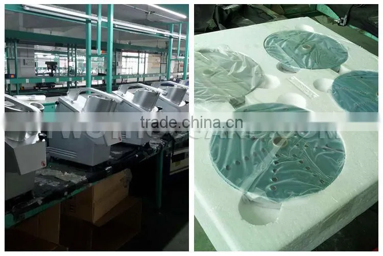 Multifunctional Industrial Vegetable Cutter with 5 Blades and CE Approved
