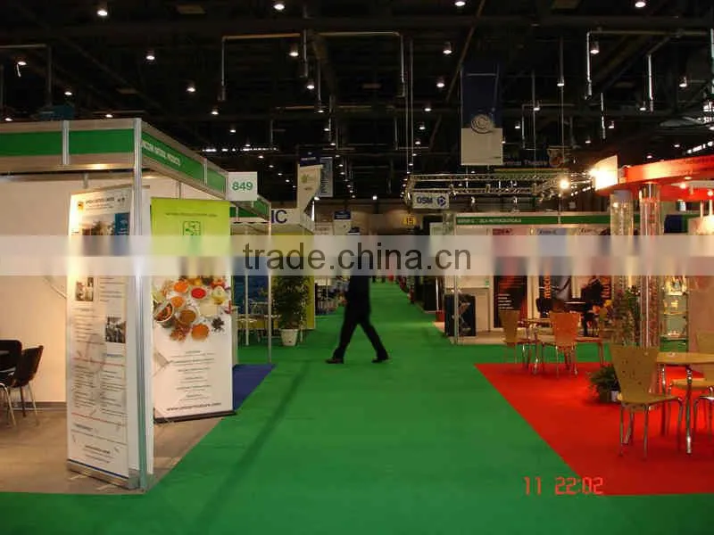 Curcumin Extract