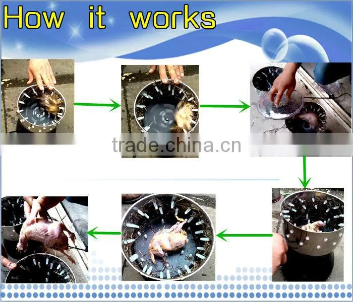 HHD Futomatic CE Approved energy-saving mini commercial chicken plucker machine for sale/chicken feather remove machine