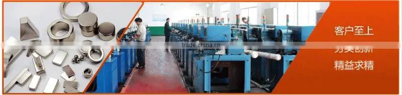 Motor Customized Neodymium Magnet Detector