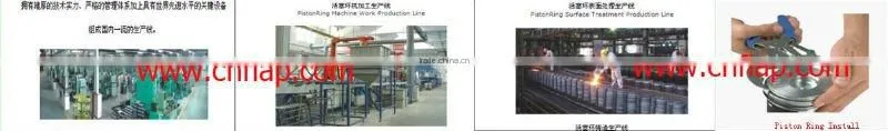 SL01-23-200A Piston ring