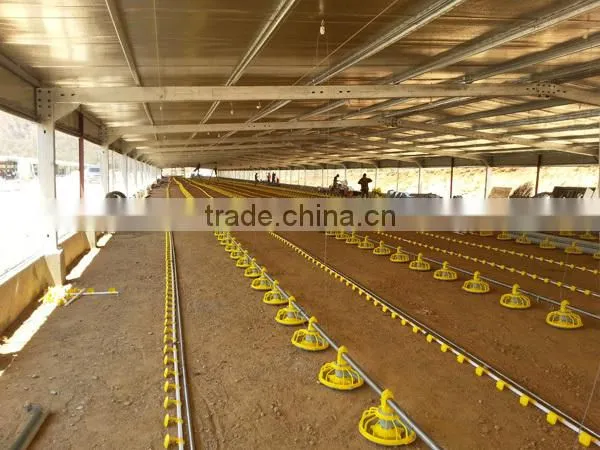Professional design light steel structure wide span steel structure house