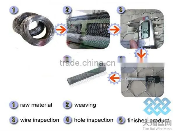 PVC coated galvanized Hexagonal Wire Netting /hexagonal wire mesh