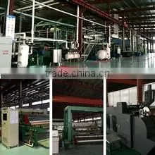 Linyi City Haojing Trading Co., Ltd. company overview - view 2