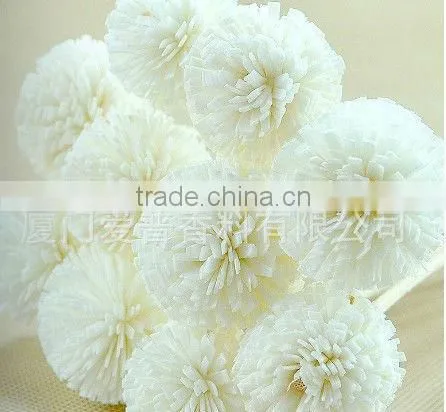 Natural Sola Flower Diffuser / Diffuser / Home decoration