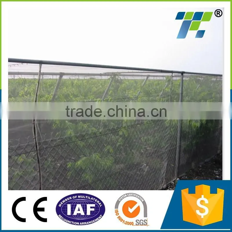 Fruit tree HDPE insect proof net / greenhouse plastic anti insect net