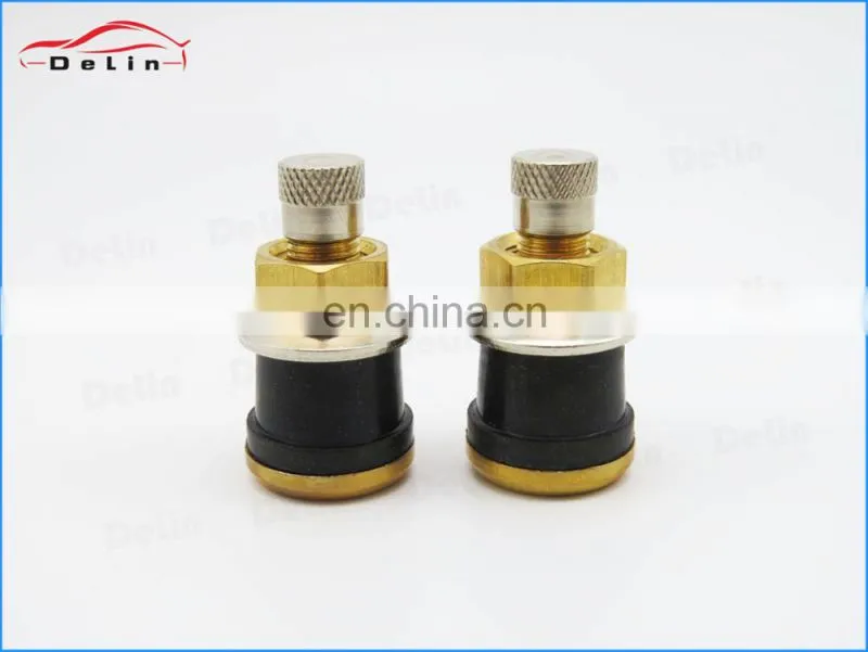 DeLin Europe quality best price snap-in valve tr500 truck tire valve
