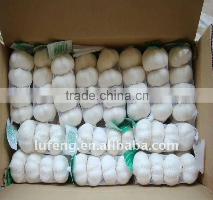 Pure White Garlic