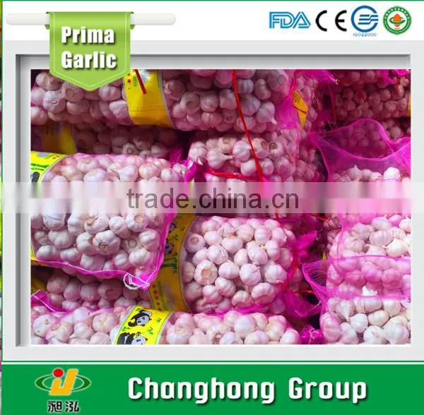 Hot sale best quality normal white garlic