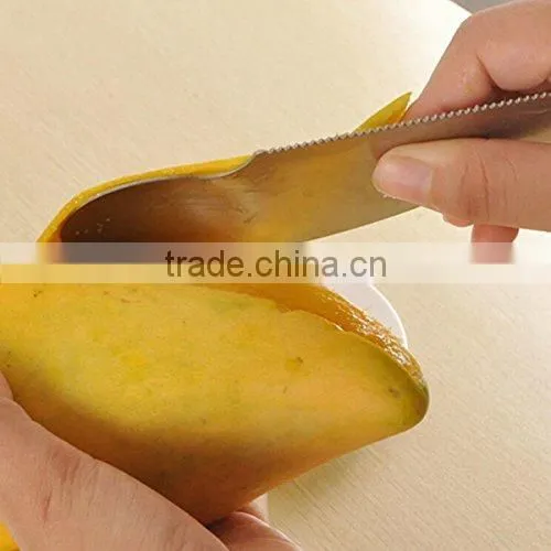 2 in 1 Stainless Stee Kiwi Peeler Fruit Knife Kiwi Parer