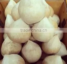 Manual coconut dehusking machine/ coconut grating machine