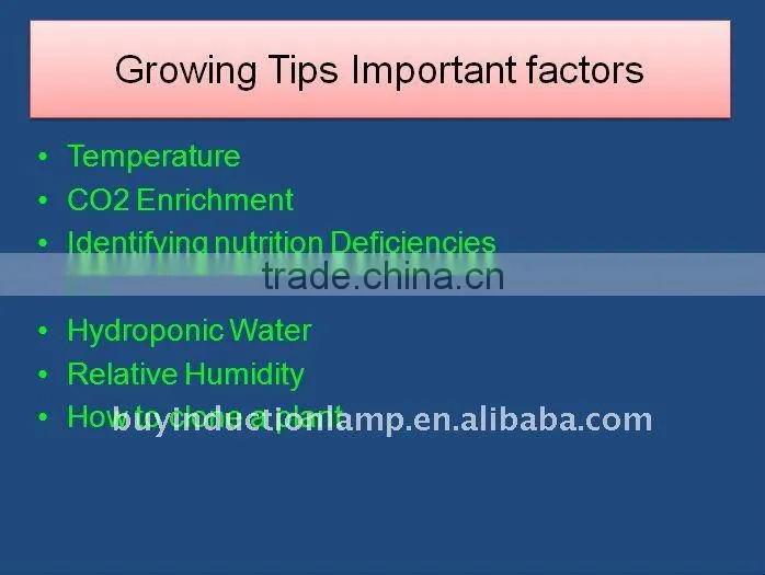 2700K E40/E27 40W Induction lamp grow light low deline than LED grow light