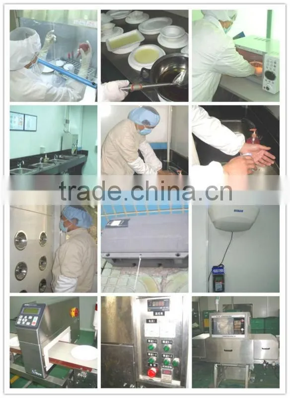 tableware Disposable biodegradable eco-friendly bagasse Plate