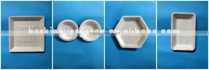 10'' palm leaf square plate