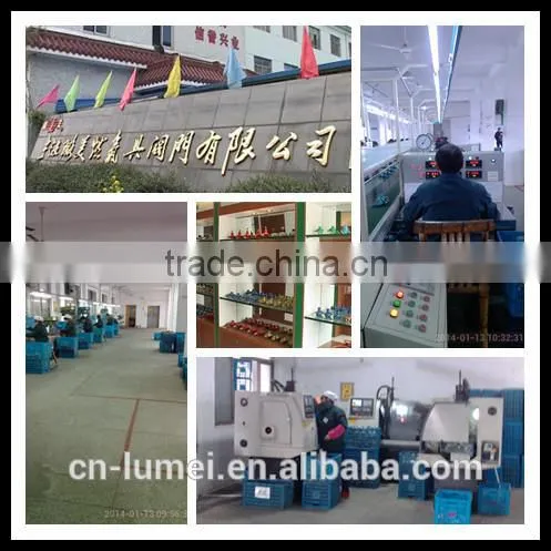 pressure cooker safety high quality gaz valve with ISO9001-2008