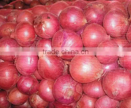 Fresh onion with good price red yellow