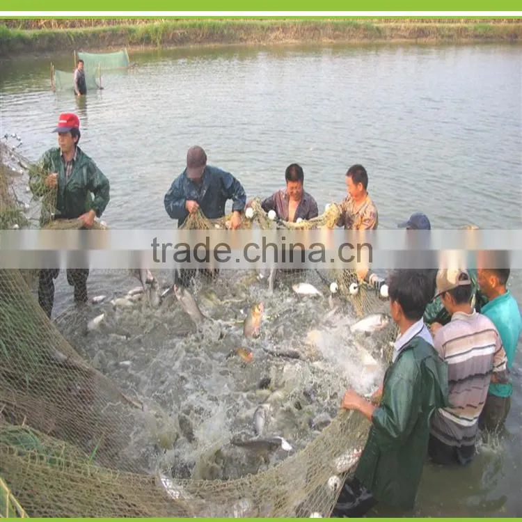 CHONGKEXING Kill insect in water aquaculture USE insecticide & disease prevention