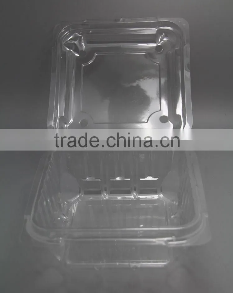 Disposable PET Clear Container, Plastic Snap