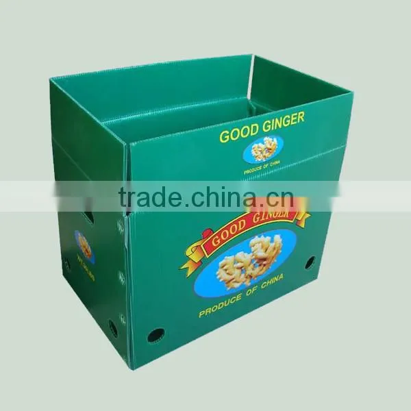 corrugated plastic printing packing box for fresh fruit