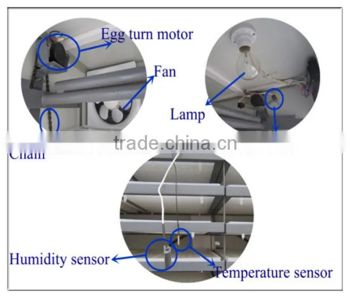 ZH-5280 Overseas Third-Party Support Industrial Egg Incubator with best quality for sale