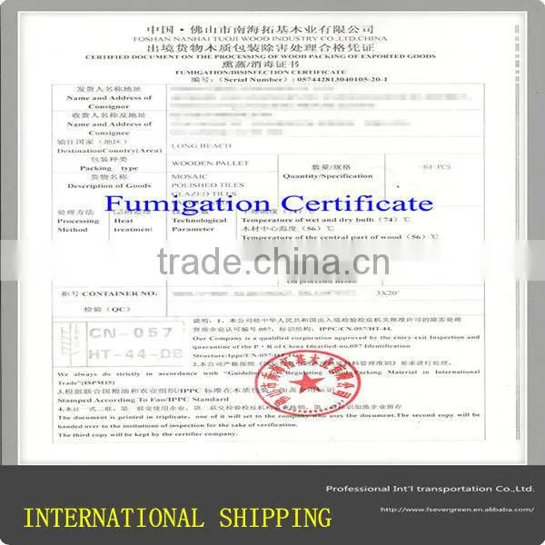 Warehouse service in Foshan for sea Shipping to Worldwide from China Freight Forwarder