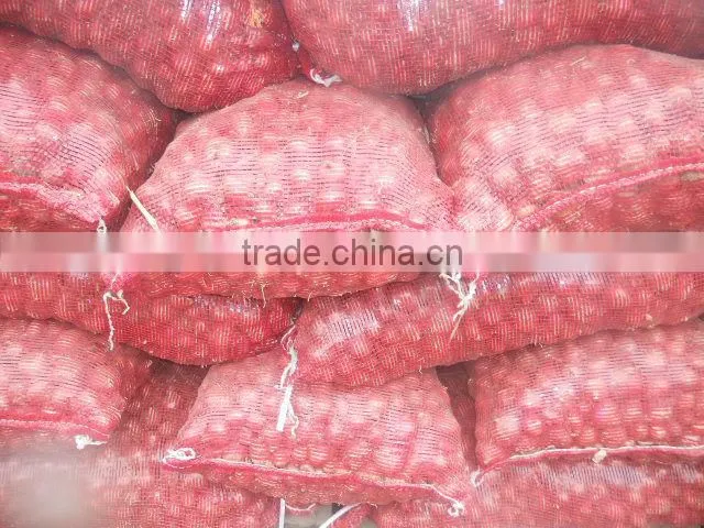 red small onion price