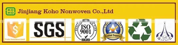 China Manufacturer Supply 100% PP Spunbond Nonwoven