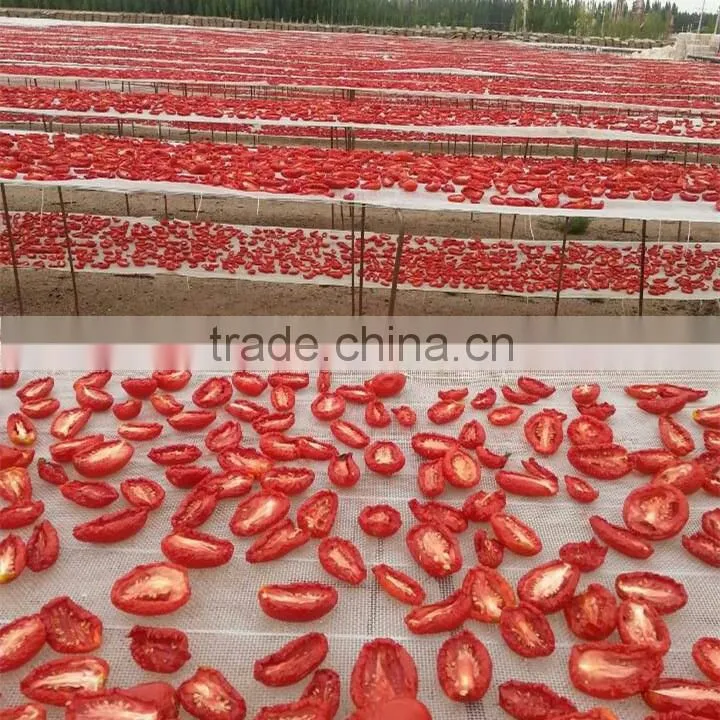 Chinese New Crop Dry Tomato Production