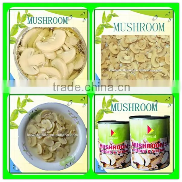 canned mushroom brands mushroom in can