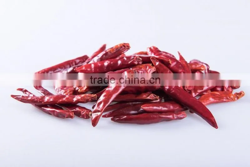 2015 Crop Dried Hot bullet Chili Pepper