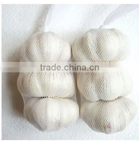 2015 new crop garlic