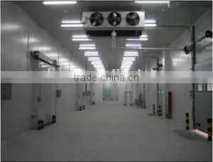 Refrigeration Cold Room for Fruits and Vegetables