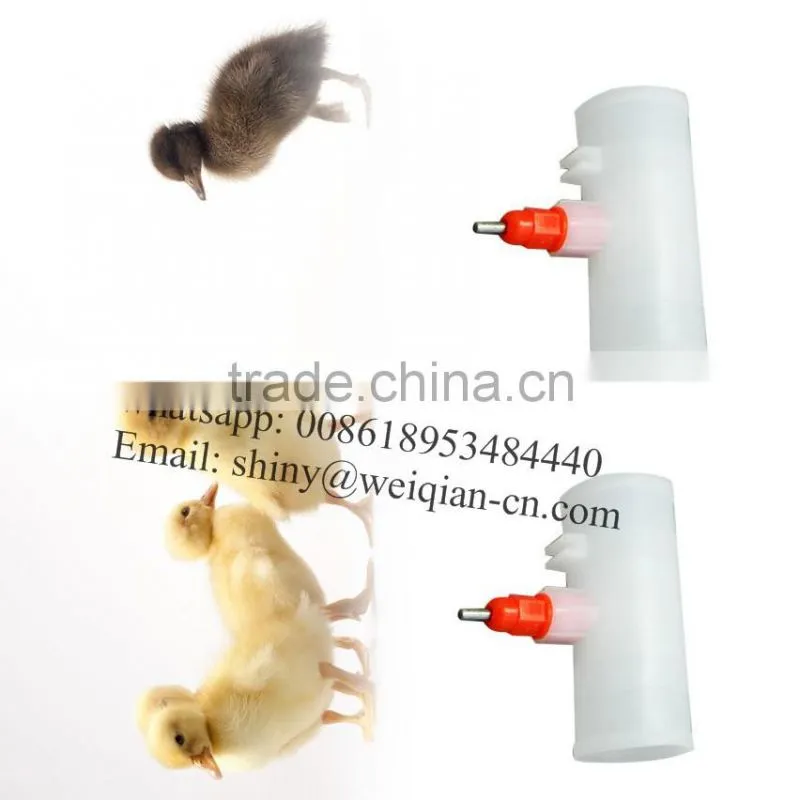 chicken water drinker