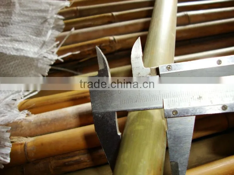 china 2015 new product for bamboo poles cheap sale