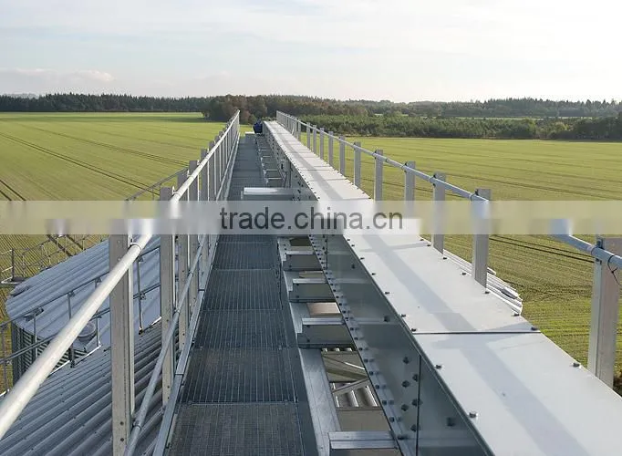 peanut grain chain conveyor for sale