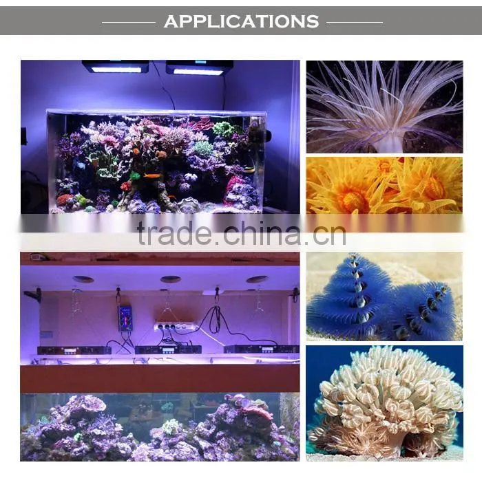 Professional Manufactur 165w auto led aquarium light for artificial plants