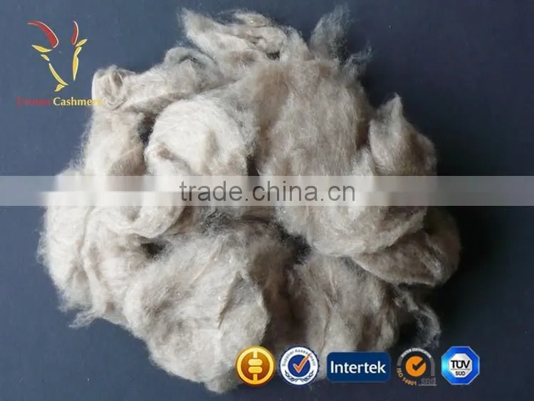 Pure Comded Mongolian Raw Sheep Cashmere Wool Fiber For Sale