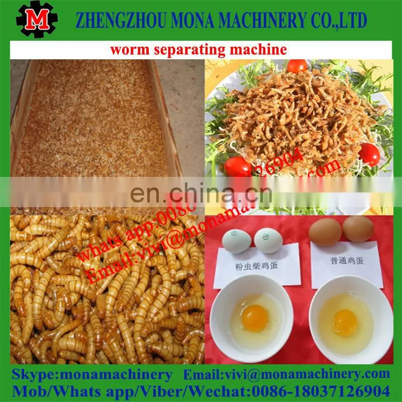 Multifunctional separating plant for Tenebrio molitor, big/small worms, pupa, dead worms