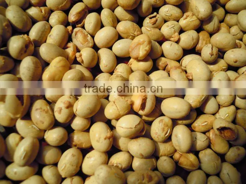 organic roasted soybean