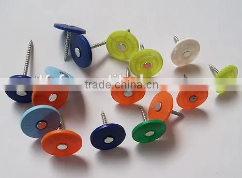 New concrete insulation nails/ plastic cap nail manufacture
