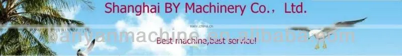 YB-10 10kg Coco Seeds, Nuts Filling Machine